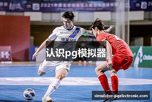 认识pg模拟器